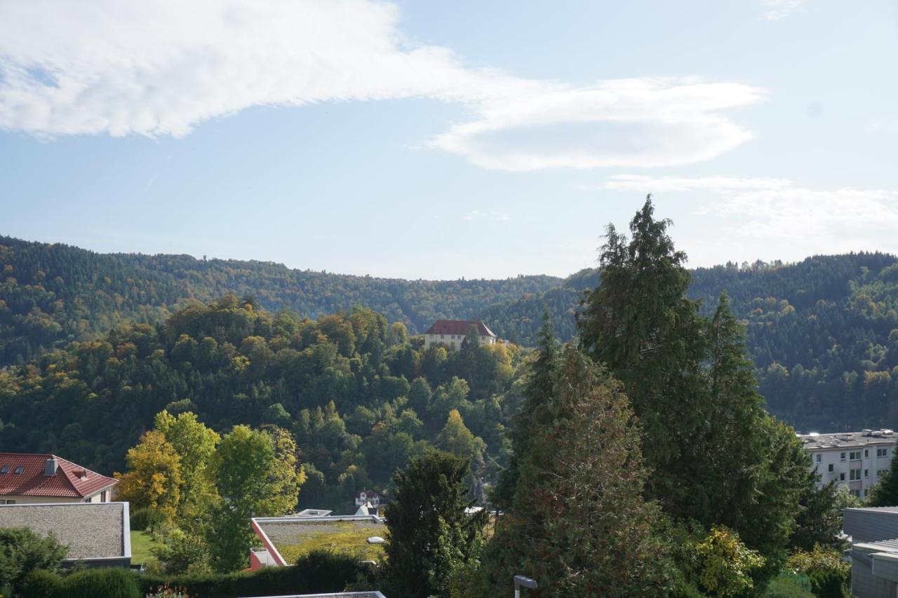 Ferienwohnung Schauinsland Neuenburg  Exteriör bild